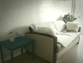 Sofa with plush blanket and side table